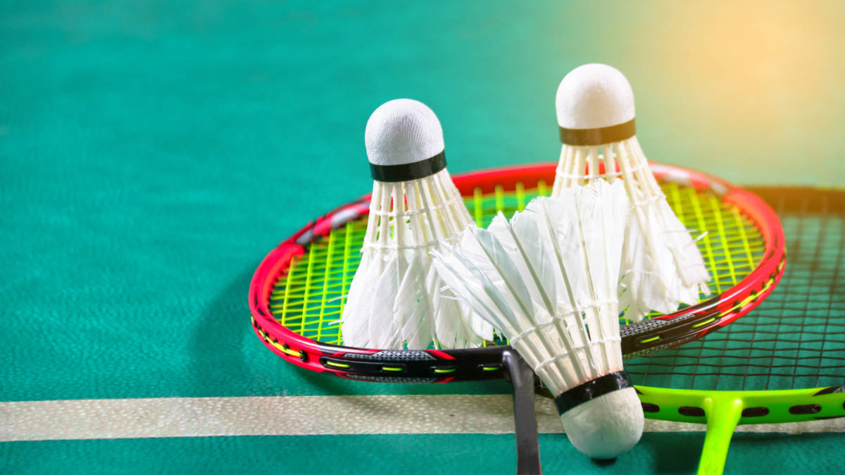 科内正是依 科内正是依