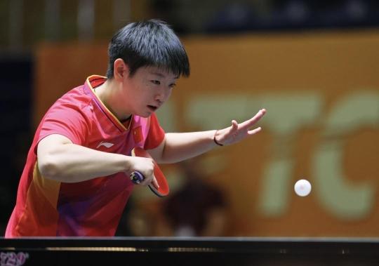 转会市场风 转会市场风